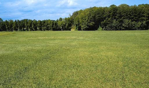 Photo #18 of Off of Benefit Rd, Chesapeake, VA 42.4 acres