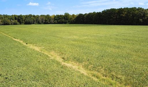 Photo #20 of Off of Benefit Rd, Chesapeake, VA 42.4 acres