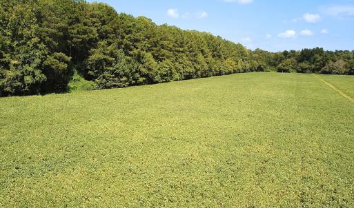 Photo #22 of Off of Benefit Rd, Chesapeake, VA 42.4 acres