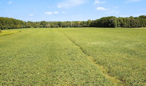 Photo #23 of Off of Benefit Rd, Chesapeake, VA 42.4 acres