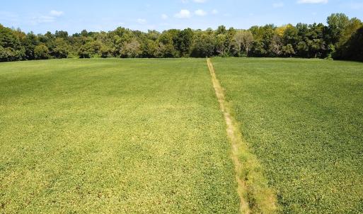 Photo #3 of Off of Benefit Rd, Chesapeake, VA 42.4 acres