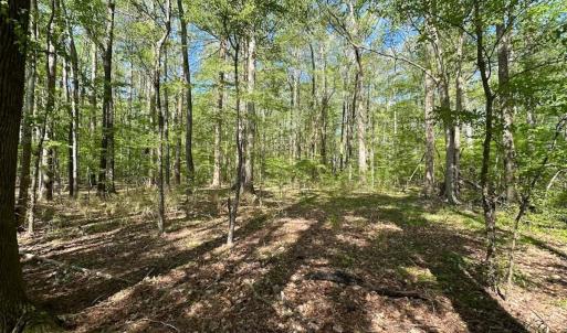 Photo #5 of Off of Benefit Rd, Chesapeake, VA 42.4 acres