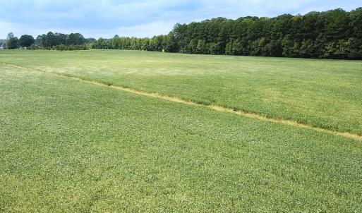 Photo #6 of Off of Benefit Rd, Chesapeake, VA 42.4 acres