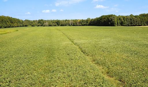 Photo #8 of Off of Benefit Rd, Chesapeake, VA 42.4 acres