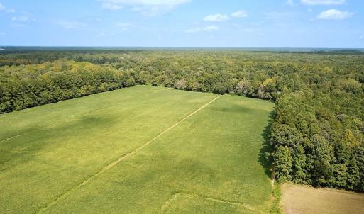 Photo #9 of Off of Benefit Rd, Chesapeake, VA 42.4 acres