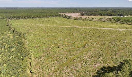 Photo #10 of SR 1217, Gates, NC 96.9 acres