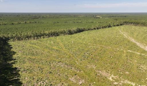 Photo #12 of SR 1217, Gates, NC 96.9 acres
