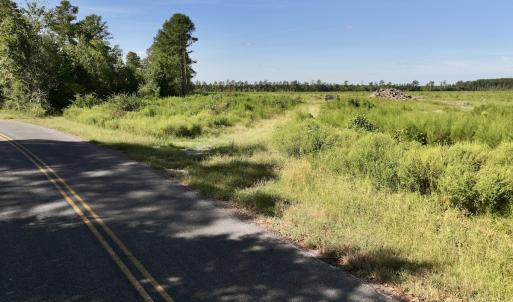 Photo #14 of SR 1217, Gates, NC 96.9 acres