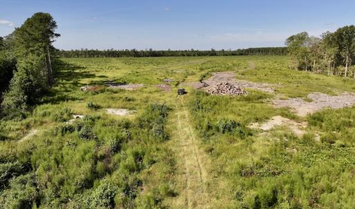Photo #16 of SR 1217, Gates, NC 96.9 acres