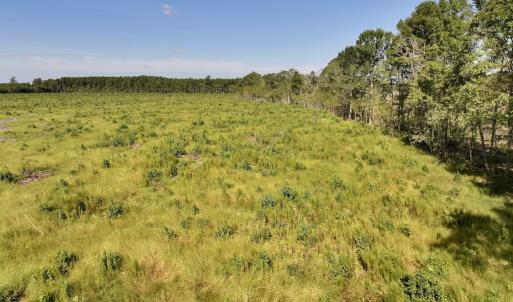 Photo #18 of SR 1217, Gates, NC 96.9 acres