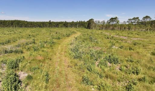 Photo #19 of SR 1217, Gates, NC 96.9 acres