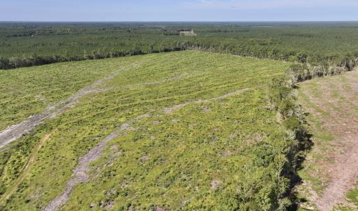 Photo #3 of SR 1217, Gates, NC 96.9 acres