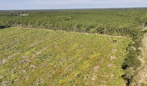 Photo #4 of SR 1217, Gates, NC 96.9 acres