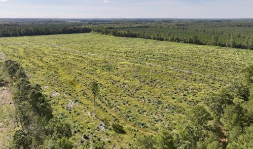 Photo #6 of SR 1217, Gates, NC 96.9 acres