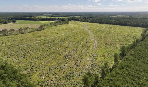 Photo #7 of SR 1217, Gates, NC 96.9 acres