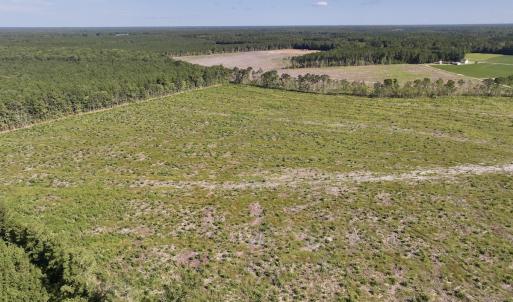 Photo #8 of SR 1217, Gates, NC 96.9 acres