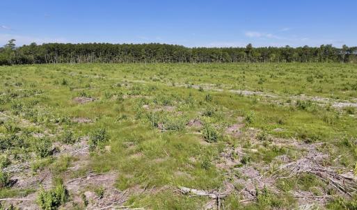 Photo #21 of SR 1217, Gates, NC 96.9 acres