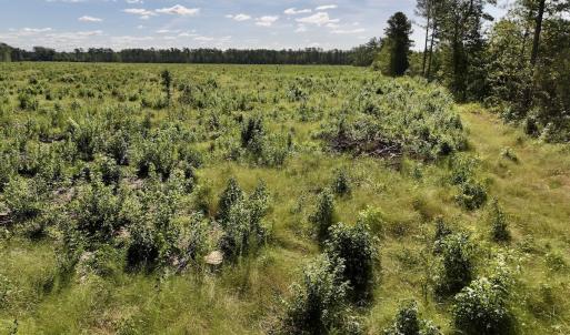 Photo #25 of SR 1217, Gates, NC 96.9 acres