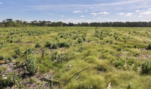 Photo #26 of SR 1217, Gates, NC 96.9 acres