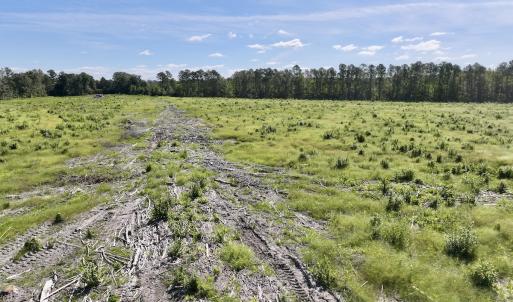Photo #27 of SR 1217, Gates, NC 96.9 acres