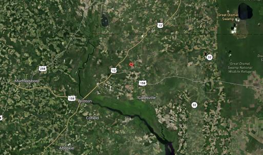 Photo #28 of SR 1217, Gates, NC 96.9 acres