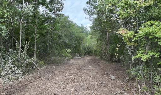Photo #11 of Off of Cupelo Rd, Walstonburg, NC 14.8 acres