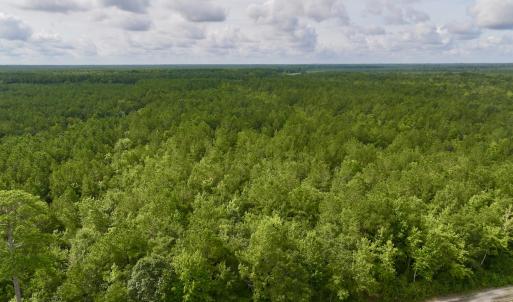 Photo #4 of Off of Cupelo Rd, Walstonburg, NC 14.8 acres