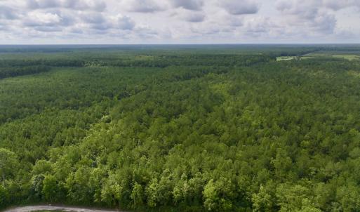 Photo #5 of Off of Cupelo Rd, Walstonburg, NC 14.8 acres
