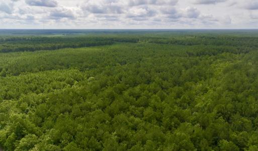Photo #6 of Off of Cupelo Rd, Walstonburg, NC 14.8 acres