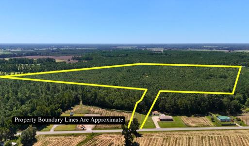Photo #11 of Off of Lagrange Rd., LaGrange, NC 86.7 acres