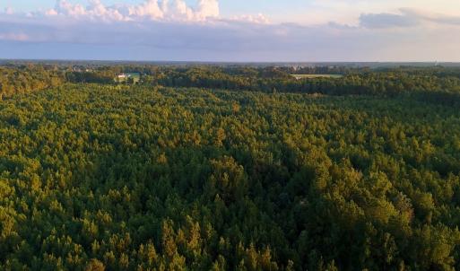Photo #12 of Off of Lagrange Rd., LaGrange, NC 86.7 acres