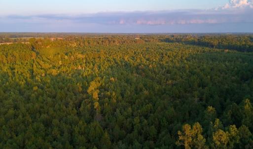 Photo #13 of Off of Lagrange Rd., LaGrange, NC 86.7 acres