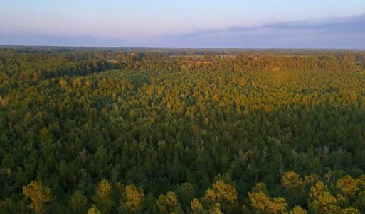 Photo #14 of Off of Lagrange Rd., LaGrange, NC 86.7 acres