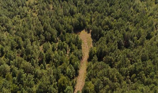 Photo #15 of Off of Lagrange Rd., LaGrange, NC 86.7 acres