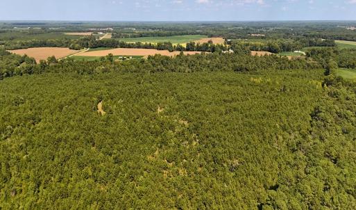 Photo #17 of Off of Lagrange Rd., LaGrange, NC 86.7 acres