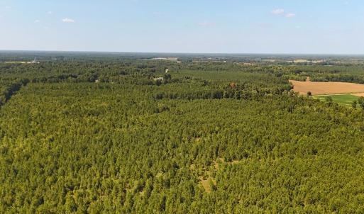 Photo #18 of Off of Lagrange Rd., LaGrange, NC 86.7 acres