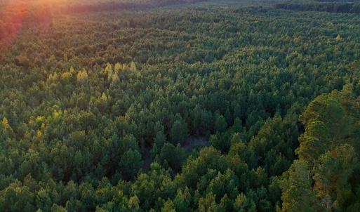 Photo #19 of Off of Lagrange Rd., LaGrange, NC 86.7 acres