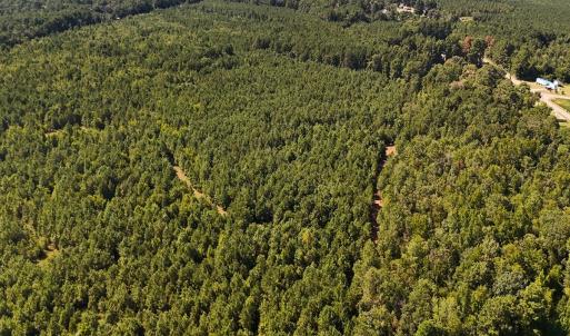 Photo #20 of Off of Lagrange Rd., LaGrange, NC 86.7 acres