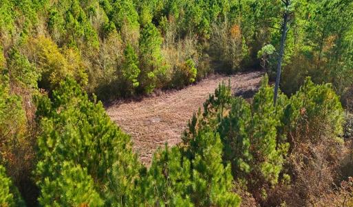 Photo #4 of Off of Lagrange Rd., LaGrange, NC 86.7 acres