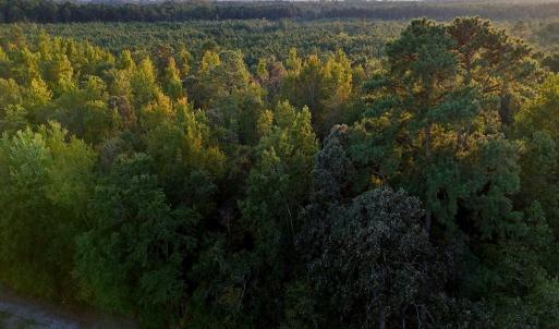 Photo #6 of Off of Lagrange Rd., LaGrange, NC 86.7 acres
