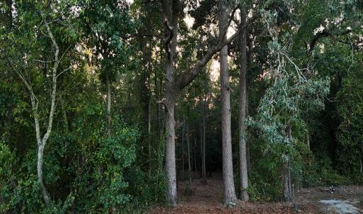 Photo #7 of Off of Lagrange Rd., LaGrange, NC 86.7 acres
