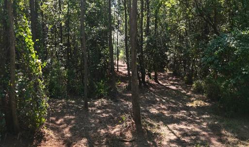 Photo #8 of Off of Lagrange Rd., LaGrange, NC 86.7 acres