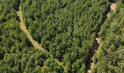 Photo #21 of Off of Lagrange Rd., LaGrange, NC 86.7 acres