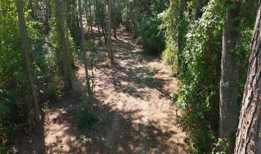 Photo #22 of Off of Lagrange Rd., LaGrange, NC 86.7 acres