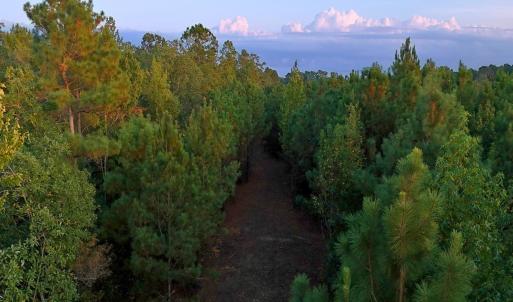 Photo #23 of Off of Lagrange Rd., LaGrange, NC 86.7 acres