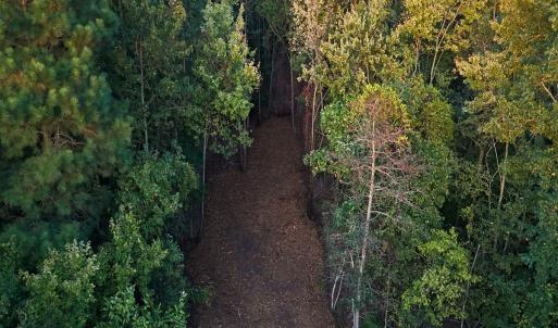 Photo #24 of Off of Lagrange Rd., LaGrange, NC 86.7 acres