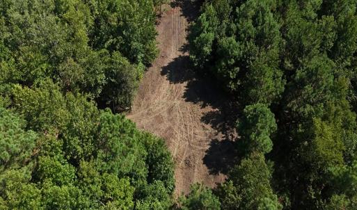 Photo #25 of Off of Lagrange Rd., LaGrange, NC 86.7 acres
