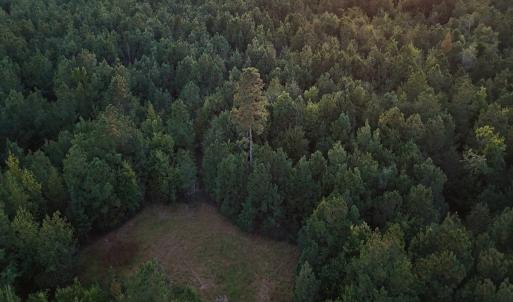 Photo #26 of Off of Lagrange Rd., LaGrange, NC 86.7 acres
