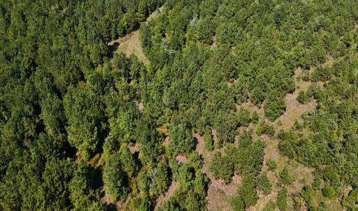 Photo #27 of Off of Lagrange Rd., LaGrange, NC 86.7 acres