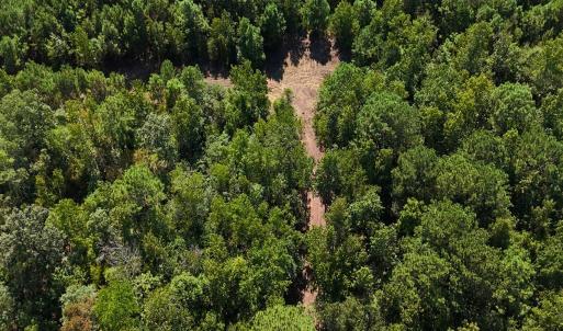 Photo #28 of Off of Lagrange Rd., LaGrange, NC 86.7 acres